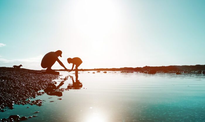 shutterstock 788871613 2048x1217 1 scaled