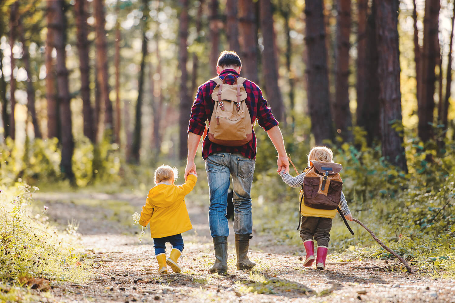 A father holds hands with his children as they walk along a forest path.